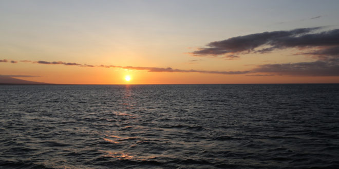 Sonnenuntergang in der Elisabeth Bucht, Insel Isabela