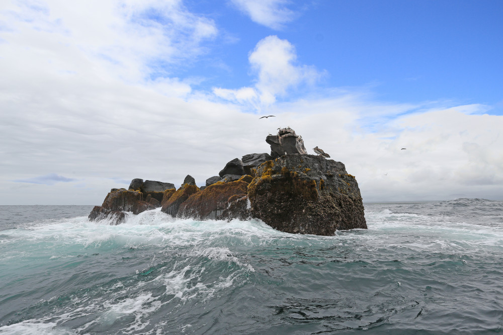 Der Union Rock liegt auf dem Weg zum Cabo Rosa, Insel Isabela