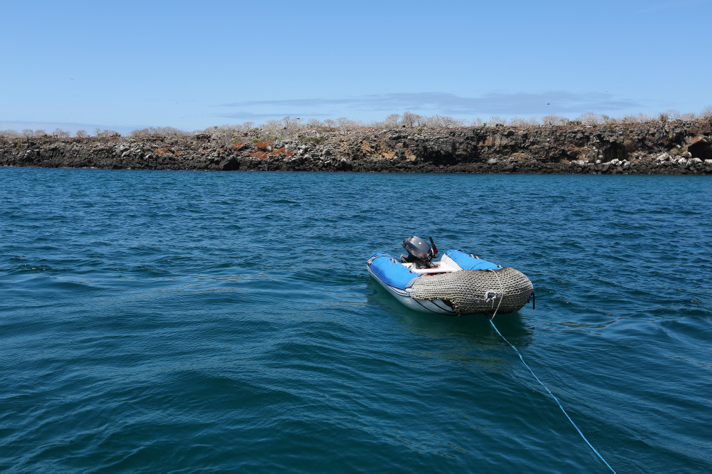 Mit dem Boot geht es an Land der Insel Seymour Norte