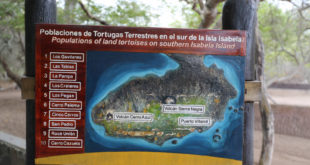 Herzlich Willkommen in der Schildkröten Aufzuchtstation Arnaldo Tupiza Chamaidan in Puerto Villamil!