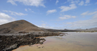 Punta Cormorant Landschaft, Floreana, Galapagos Inseln