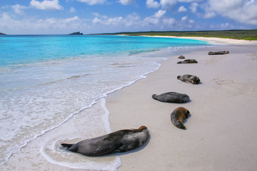 Gardner Bay auf der Insel Espanola, Galapagos