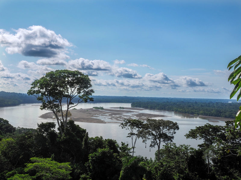 Blick auf den Amazon River Napo, Yasuni National Park